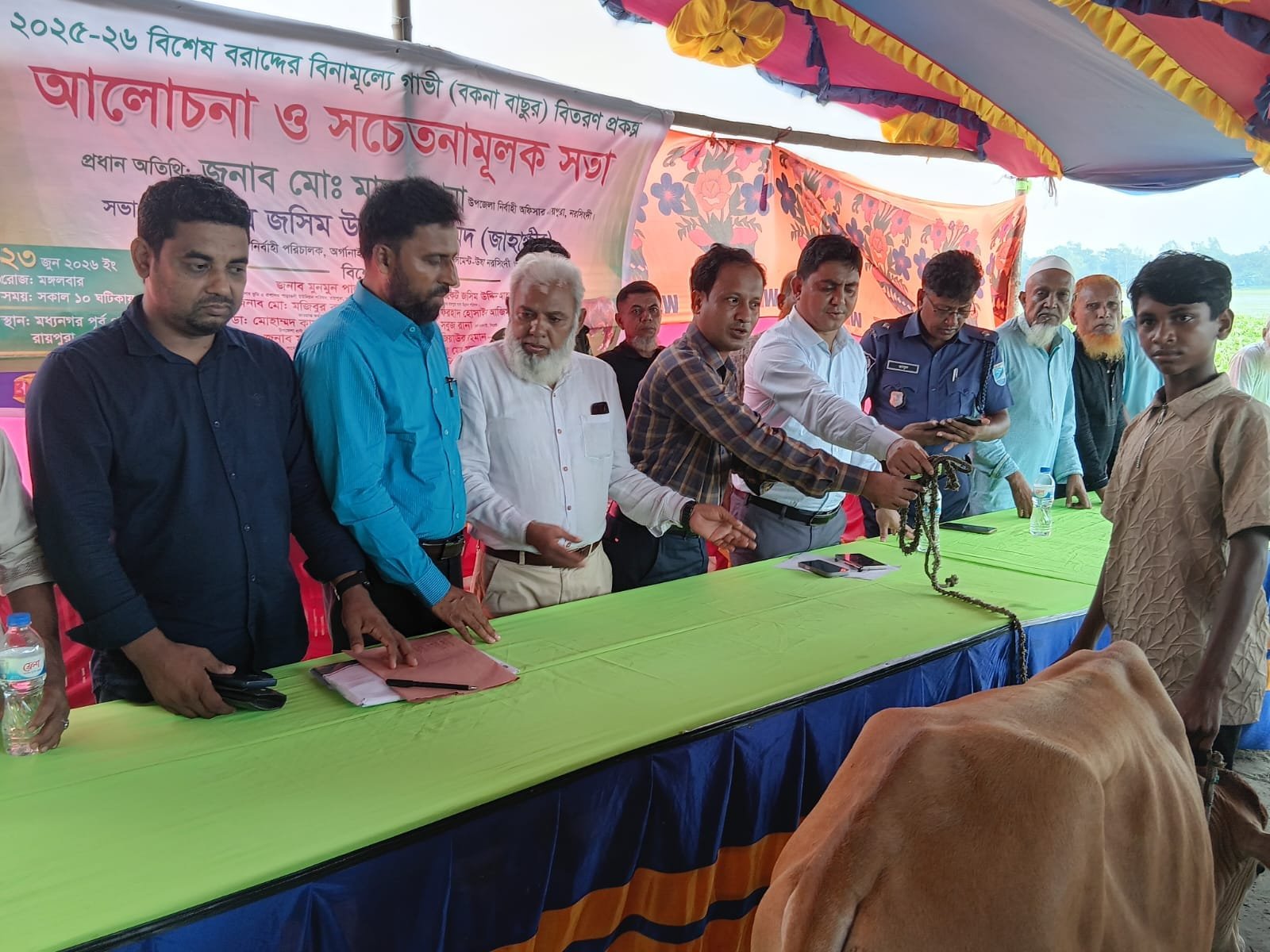 Cow distribution under a decorated tent (green table, cow).